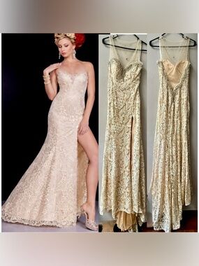 PANOPLY ILLUSION  BEADED SWEETHEART NECKLINE SLEEVELESS LACE GOWN CHAMPAGE Sz. 4